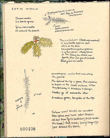 journal page