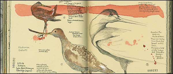 journal page