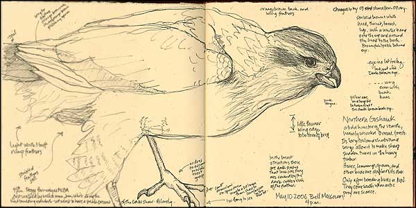 journal page