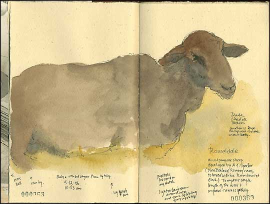 journal page