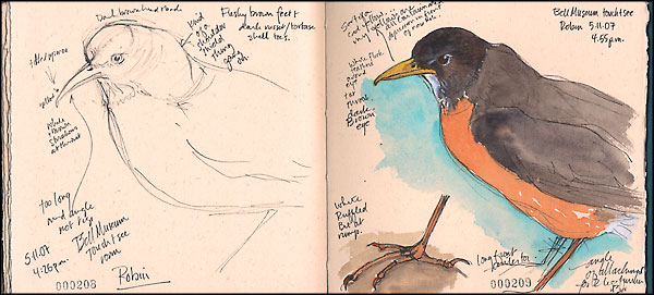 journal page