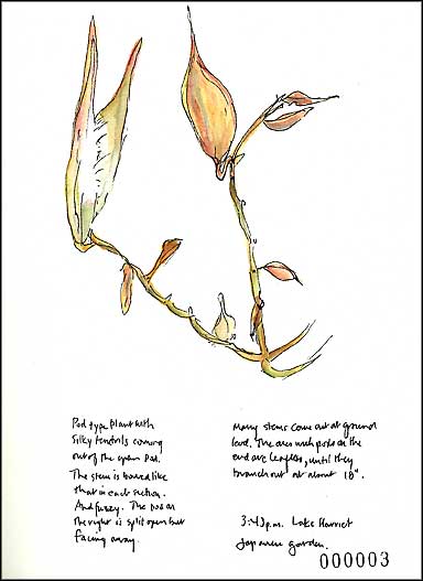 journal page